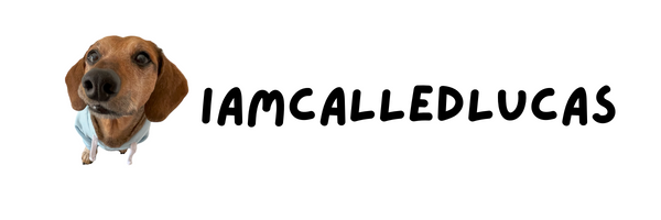 IAMCALLEDLUCAS WEBSITE