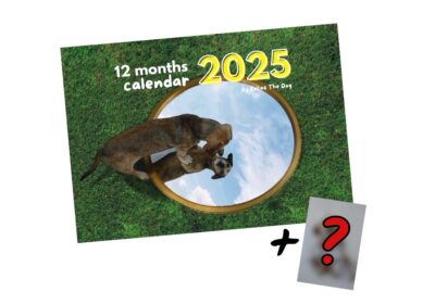 iamcalledlucas 2025 calendar