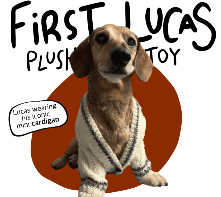 Lucas-in-his-cardigan-plushie